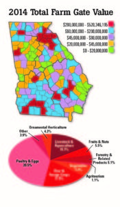 Small Business and It's Impact on Georgia