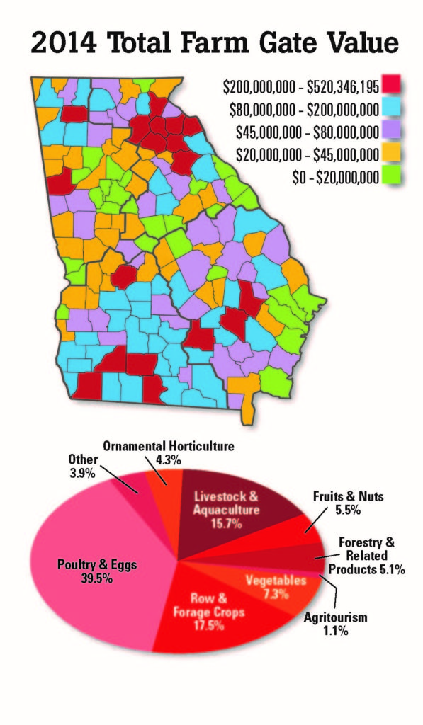 Small Business and It's Impact on Georgia