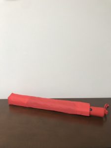 Red and Black Umbrella - In Case