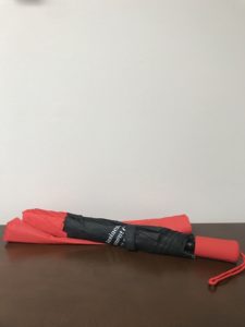 Red and Black Umbrella - Closed