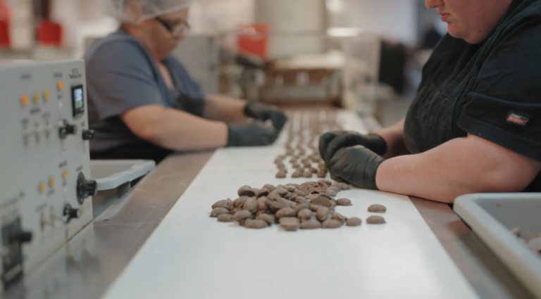 Workers seated on both sides of a conveyor belt sorting pecans by hand, with piles of nuts in the foreground and machinery on either side.