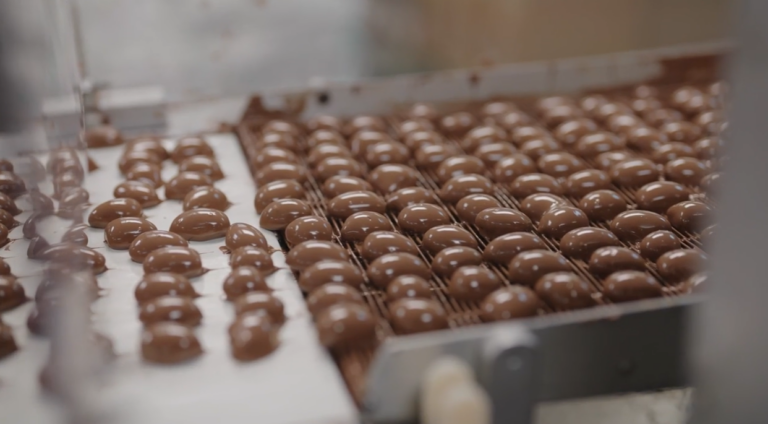 Rows of round chocolate candies moving along a production conveyor belt inside a food manufacturing facility.